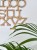 732F7ABE-33FF-4C2F-A820-2ED0E7419490.JPG
