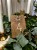 IMG_4989.JPEG